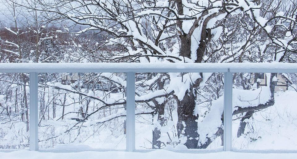 Mizunara - Snowy Trees