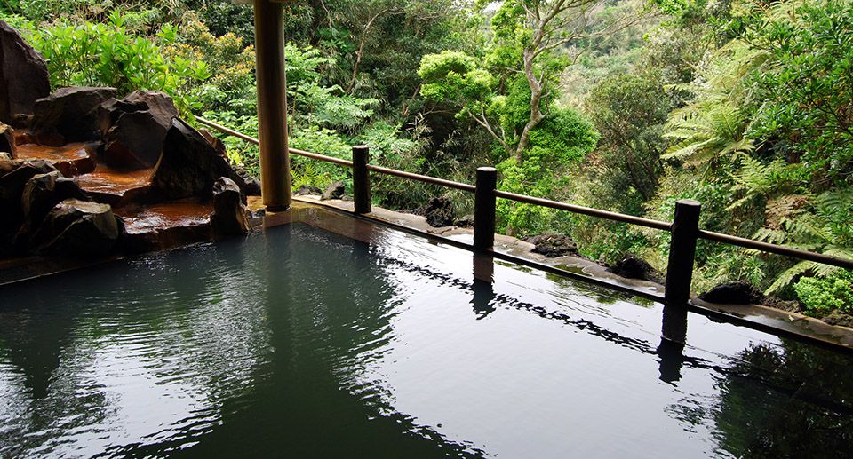 Mizunara - Landscape View