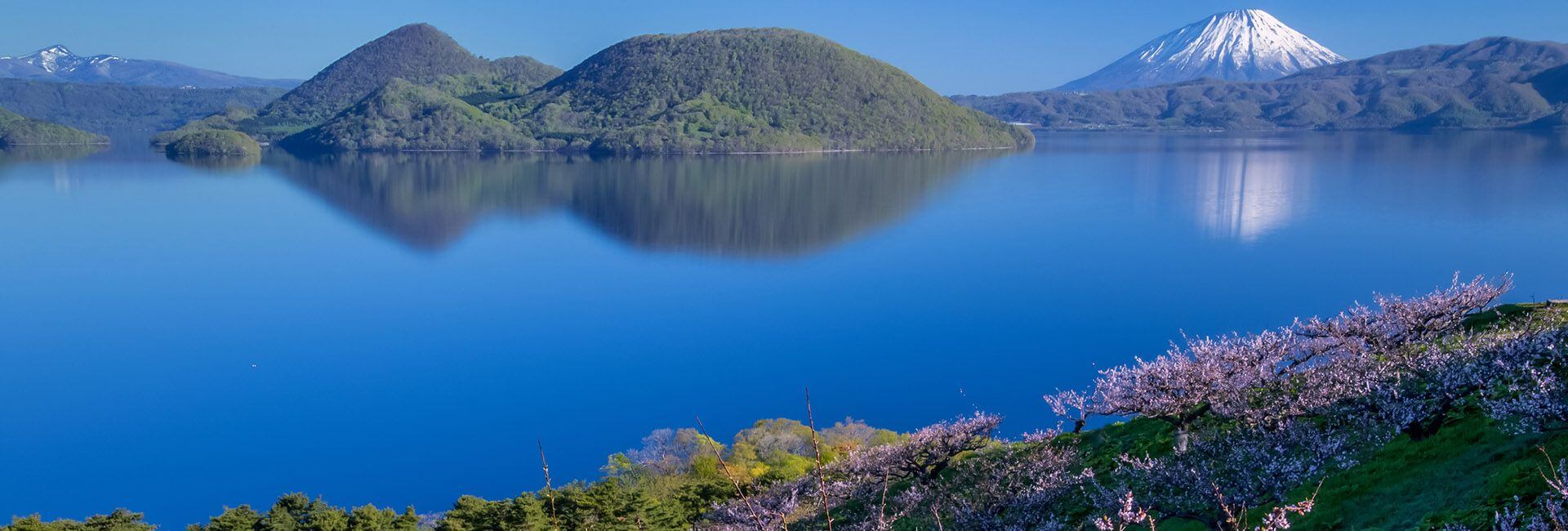 Mizunara - Mountain View