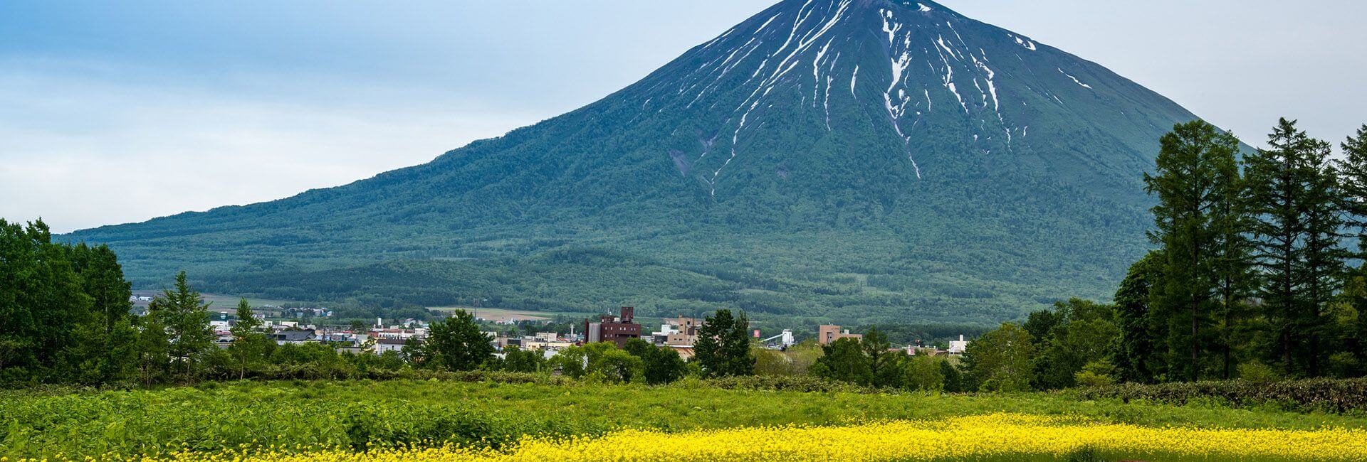 Mizunara - Mountainous Landscape