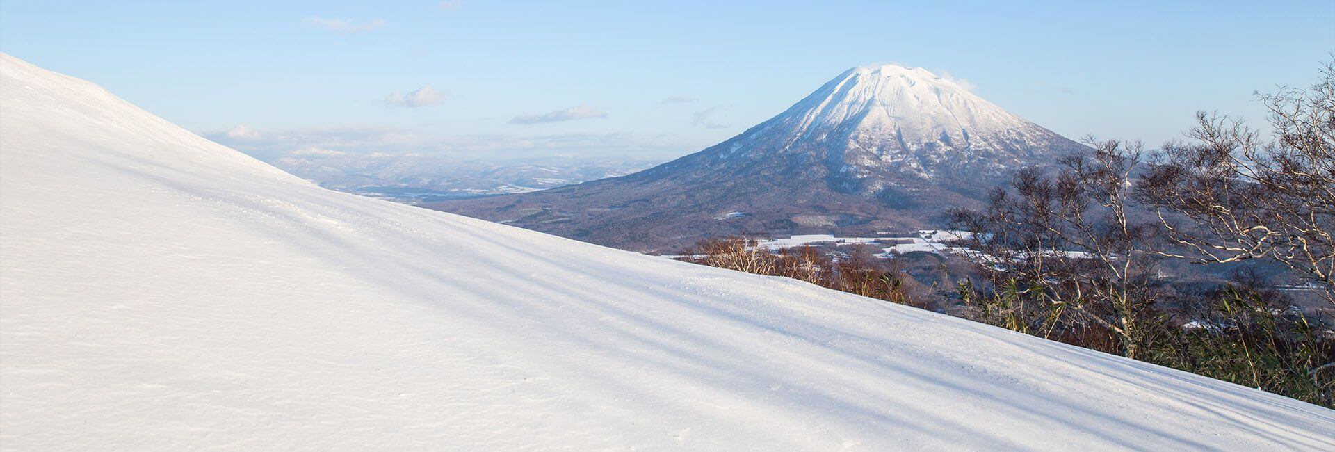 Mizunara - Snowy Mountain